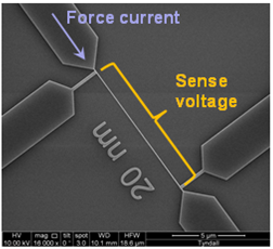 SEM image of the nanowire test structure